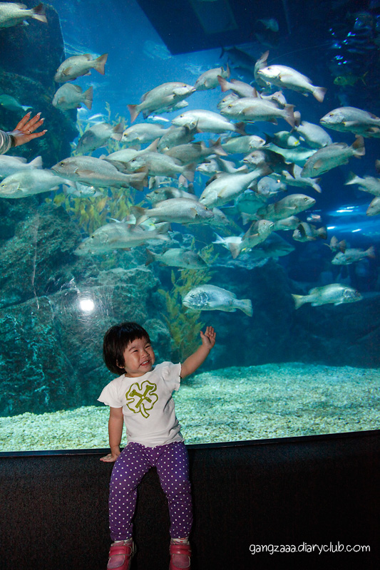 siam ocean world ครั้งแรก ตื่นเต้นจัง