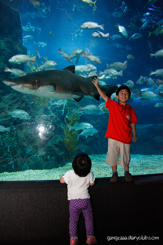 siam ocean world ครั้งแรก ตื่นเต้นจัง