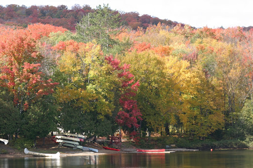 algonquin tribe schools