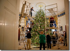 the official White House Christmas Tree