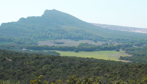 UCR Portugal