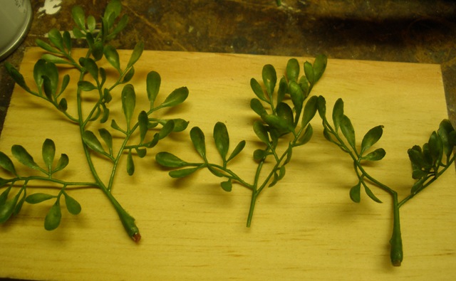 [boxwood tutorial 012[3].jpg]
