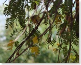 DSC02914