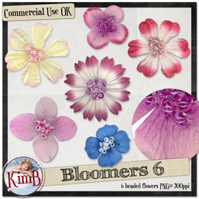 [kb-bloomers6[5].jpg]