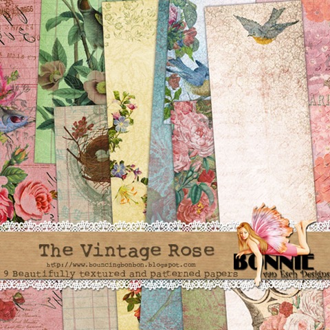 [BvanEsch_TheVintageRose_papercollection_PREVIEW1[3].jpg]