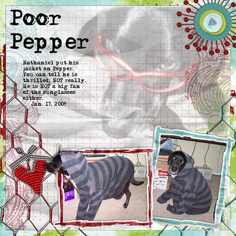 [Dogs-Pepper01172009[3].jpg]