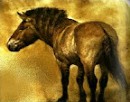 In 1993, a 26,000 year old  frozen carcass of a Pleistocene horse (Equus lambei) was found by prospectors in the permafrost in Dawson City, Yukon., Canada.