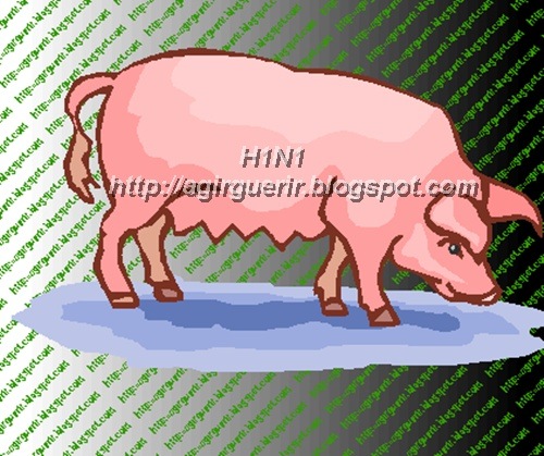 [h1n15.jpg]