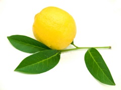 Le citron c'est acide, mais  une fois digéré c'est souvent basifiant