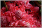 DSC00131 (Small).JPG