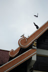 DSC02608.JPG