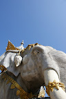 DSC02832.JPG