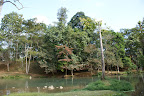DSC02845.JPG