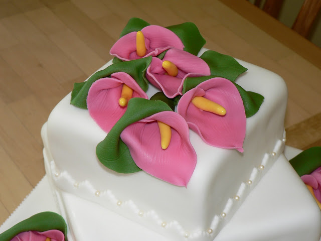 http://lh6.ggpht.com/_KRygKzokv3M/SrPOu0f3c_I/AAAAAAAADPc/1Pqt3C6PEIE/s640/P1100219.JPG