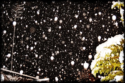 nieve