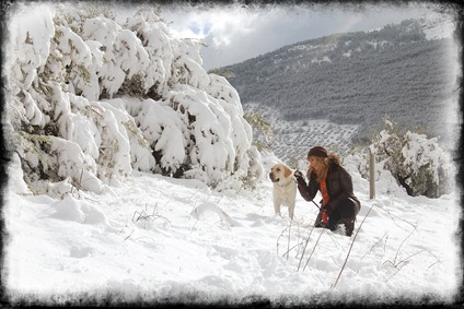 nieve
