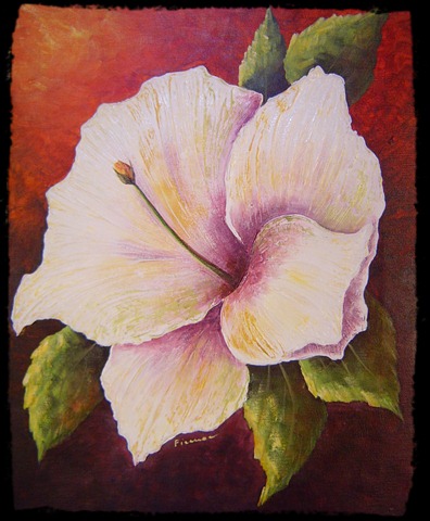 [flor[5].jpg]