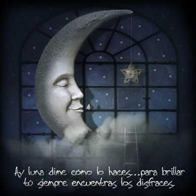 Los  escaparates de la luna