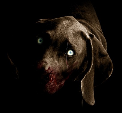 [Rabies_by_Imaginashawn[4].jpg]