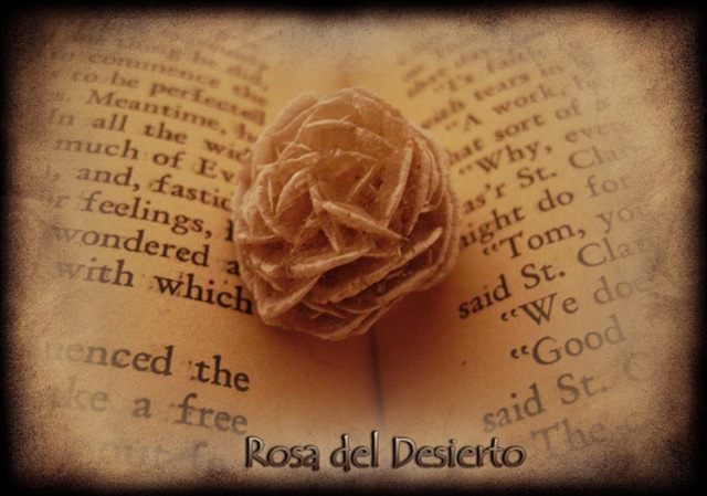 [rosadeldesierto5.jpg]