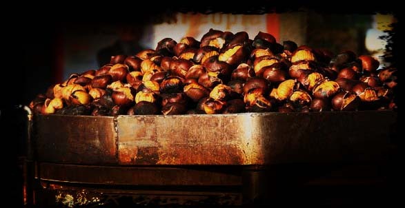 [castanas1[5].jpg]