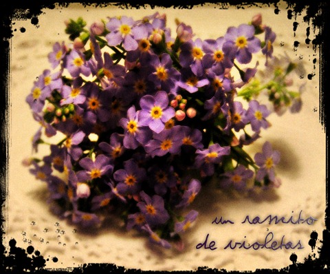 eseramitodevioletasqd7 copia