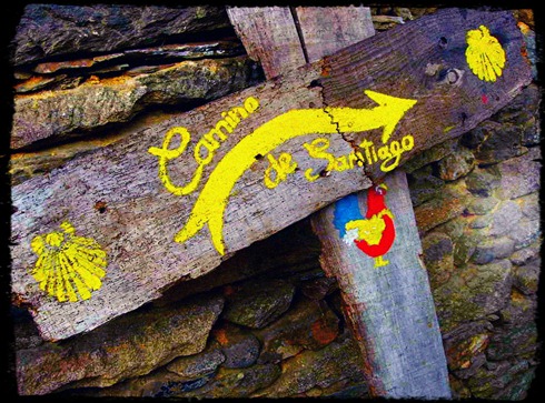 El camino de Santiago de compostela