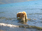 DSCN1246.JPG
