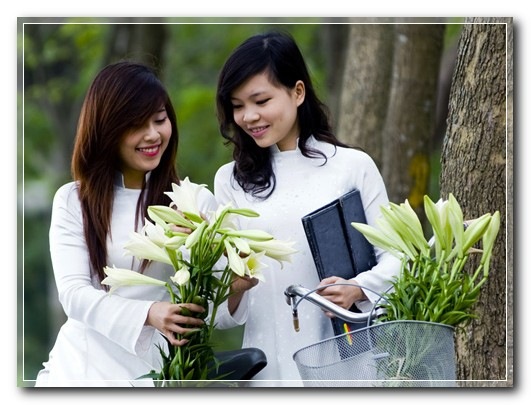 [HTV_2479[5].jpg]
