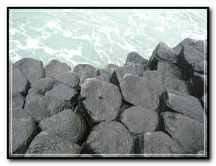 [dia-170310-5[5].jpg]