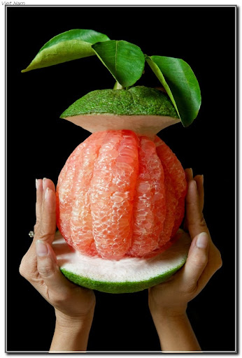 http://lh3.ggpht.com/_KSOH77vnC-4/TA5SSGHkDXI/AAAAAAAAFeU/PnFex1lwIW4/s1600-h/01-buoi_da_xanh_ruot_hong__giai_3__THANH_VU%5b3%5d.jpg