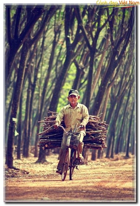 Very wonderful photos of a peaceful Vietnam with friendly and hospitable people