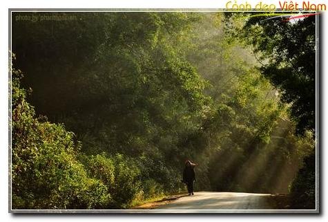 Very wonderful photos of a peaceful Vietnam with friendly and hospitable people