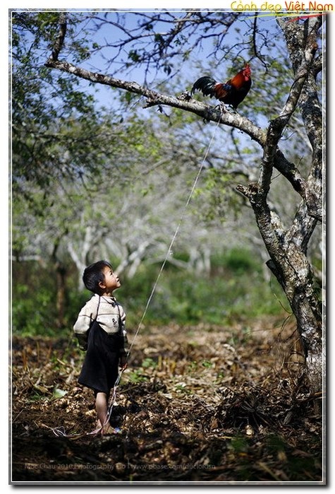 Very wonderful photos of a peaceful Vietnam with friendly and hospitable people