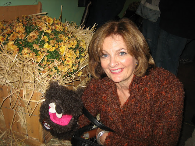 cindy hall