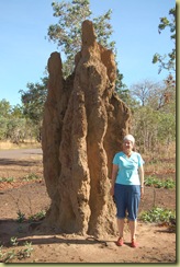 Large Termite Mound in Kakadu