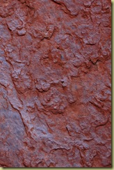 Surface of Uluru