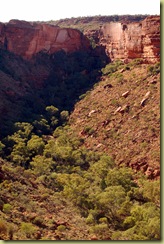 Canyon view 1