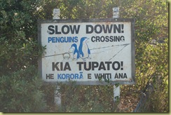 Penguins Crossing