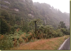 Tangarakau Gorge