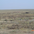 CIMG2793.JPG