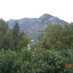 CIMG3595.jpg