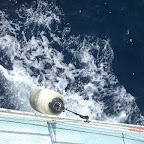 CIMG3747.jpg