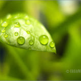 Macro by LX3