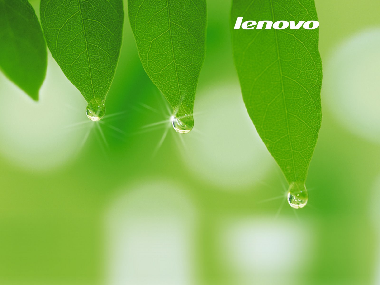 [Lenovo_Spring.jpg]