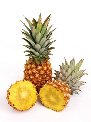 [pineapple[2].jpg]