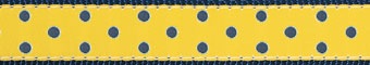[yellow_navy_dot[2].jpg]