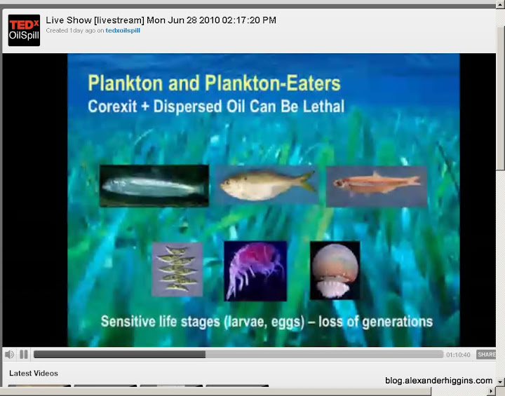 Corexit can be lethal to Plankton an Plaknton Eaters. Sensitive life will be lost for generations Corexit can be lethal to Plankton an Plankton Eaters. Sensitive life will be lost for generations