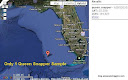 Only 1 Queen Snapper Sample Tested