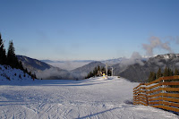 DSC07587.JPG Photo